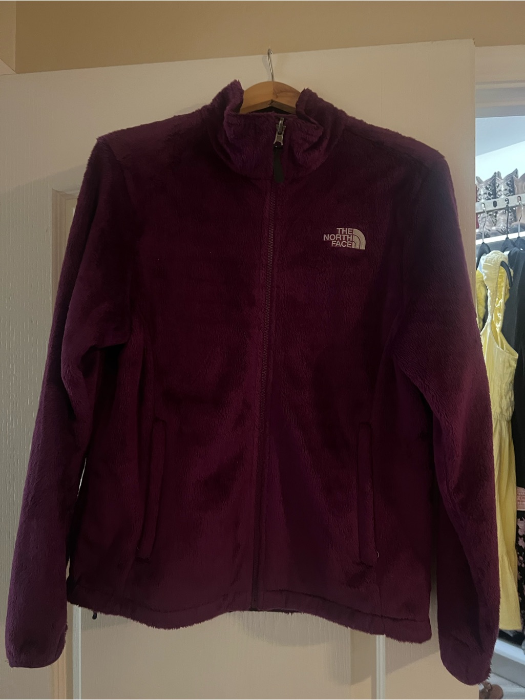 The North Face Women's Plush Full-Zip Jacket In Plum